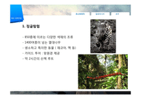 [관광학] 생태관광 개념 및 필요성, 해외 사례-8