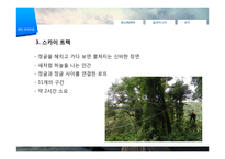 [관광학] 생태관광 개념 및 필요성, 해외 사례-10