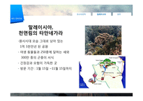 [관광학] 생태관광 개념 및 필요성, 해외 사례-11
