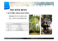[관광학] 생태관광 개념 및 필요성, 해외 사례-12