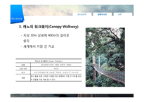 [관광학] 생태관광 개념 및 필요성, 해외 사례-14