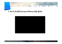 [관광학] 생태관광 개념 및 필요성, 해외 사례-15