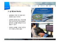 [관광학] 생태관광 개념 및 필요성, 해외 사례-18