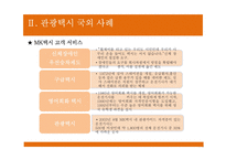 [관광교통운영론] 관광택시, 인터내셔널 택시-9