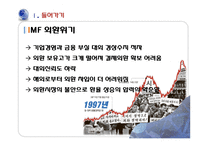 [금융경제] 통화 스왑 협정-4