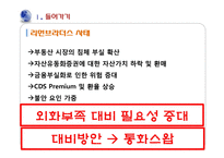 [금융경제] 통화 스왑 협정-6