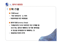 [금융경제] 통화 스왑 협정-7