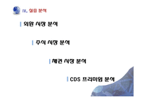 [금융경제] 통화 스왑 협정-14