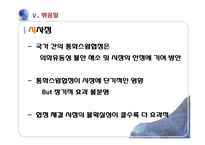 [금융경제] 통화 스왑 협정-20