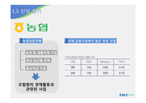 [금융기관론] NH농협 분석-3