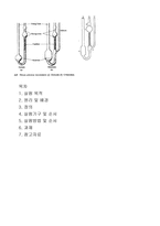 점도에 의한 PS의 분자량 측정에 대해서 -예비-7