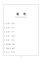 베르누이(Bernoulli Theorem Apparatus) 결과 레포트-2
