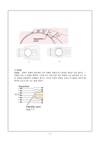 유동가시화(Flow Visualization) 결과 레포트-5