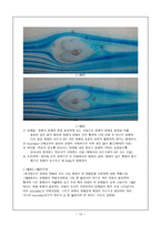 유동가시화(Flow Visualization) 결과 레포트-13