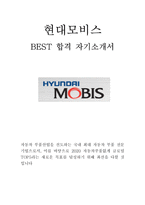 2013년 상반기 현대모비스 MOBIS 공채 대비 BEST 합격 자기소개서!!!!-1