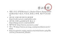 바이오디젤 생산하기 위한 생물반응기 설계-13