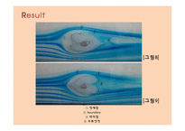 유동가시화(Flow Visualization) 결과 레포트-12