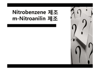 Nitrobenzene 제조, m-Nitroanilin 제조 실험-1