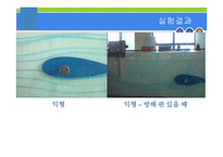 유동가시화(Flow Visualization Apparatus) 결과 레포트-10
