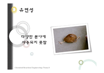 유기태양전지 레포트-13