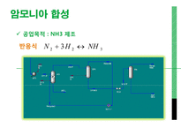 HYSIS를 이용한 암모니아 합성법-17