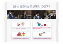 [생화학] 페닐케톤뇨증(phenylketonuria,PKU)-2