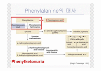 [생화학] 페닐케톤뇨증(phenylketonuria,PKU)-4