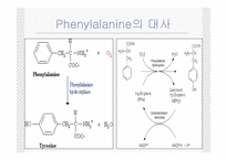 [생화학] 페닐케톤뇨증(phenylketonuria,PKU)-5