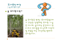 [유아교육과정] 우리나라 숲 유치원의 운영현황-9