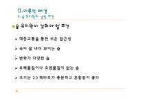 [유아교육과정] 우리나라 숲 유치원의 운영현황-12