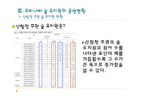 [유아교육과정] 우리나라 숲 유치원의 운영현황-16