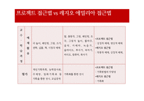 프로젝트 접근법 vs 레지오 에밀리아 접근법 비교분석-8