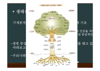 생태유아교육 레포트-4