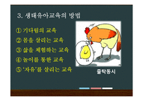 생태유아교육 레포트-9