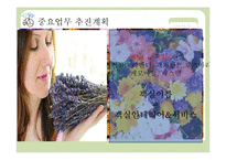 [호텔사업계획서] 에코텔 사업계획서-17