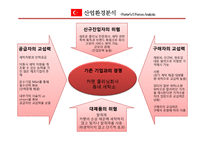 [글로벌 사업계획서] 터키 시장 사업 진출 계획 -이동식 카펫 청소 서비스-10