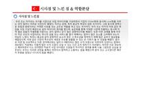 [글로벌 사업계획서] 터키 시장 사업 진출 계획 -이동식 카펫 청소 서비스-12