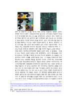 [이미지와 죽음] 죽음을 주제로 한 작품을 통해 본 현대미술의 특징과 죽음에 대한 인식-3