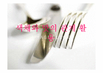색채와 푸드스타일링-20