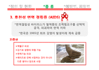 [간호학] 성전파성 질환-11