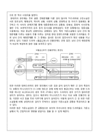 가문소설의 이해와 작품 `천수석`-11
