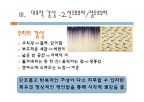 이우환 작가의 세계관과 작품에 대한 평가-18