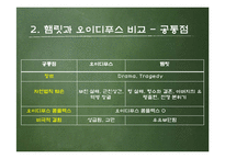 문예사조 -르네상스와 햄릿-8