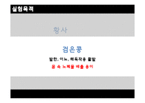 [실험조리] 황사와 다시마 검은콩두유 실험-3