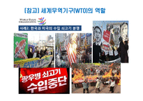 GATT 및 WTO체제의 비교분석-17