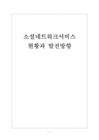 [SNS]소셜네트워크서비스의 현황과 발전방향 보고서-1