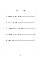 [SNS]소셜네트워크서비스의 현황과 발전방향 보고서-2