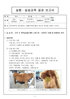 소(미숙우) 해부실습(실습계획서,결과보고서)-2