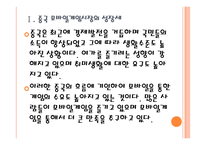 [모바일게임]중국 모바일게임 시장의 성장과 전망 PPT자료-6