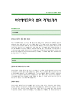 [하이에어코리아자기소개서]하이에어코리아자기소개서예문-하이에어합격자기소개서(HI AIR KOREA 대졸공채 합격자소서) -하이에어 입사지원서-1